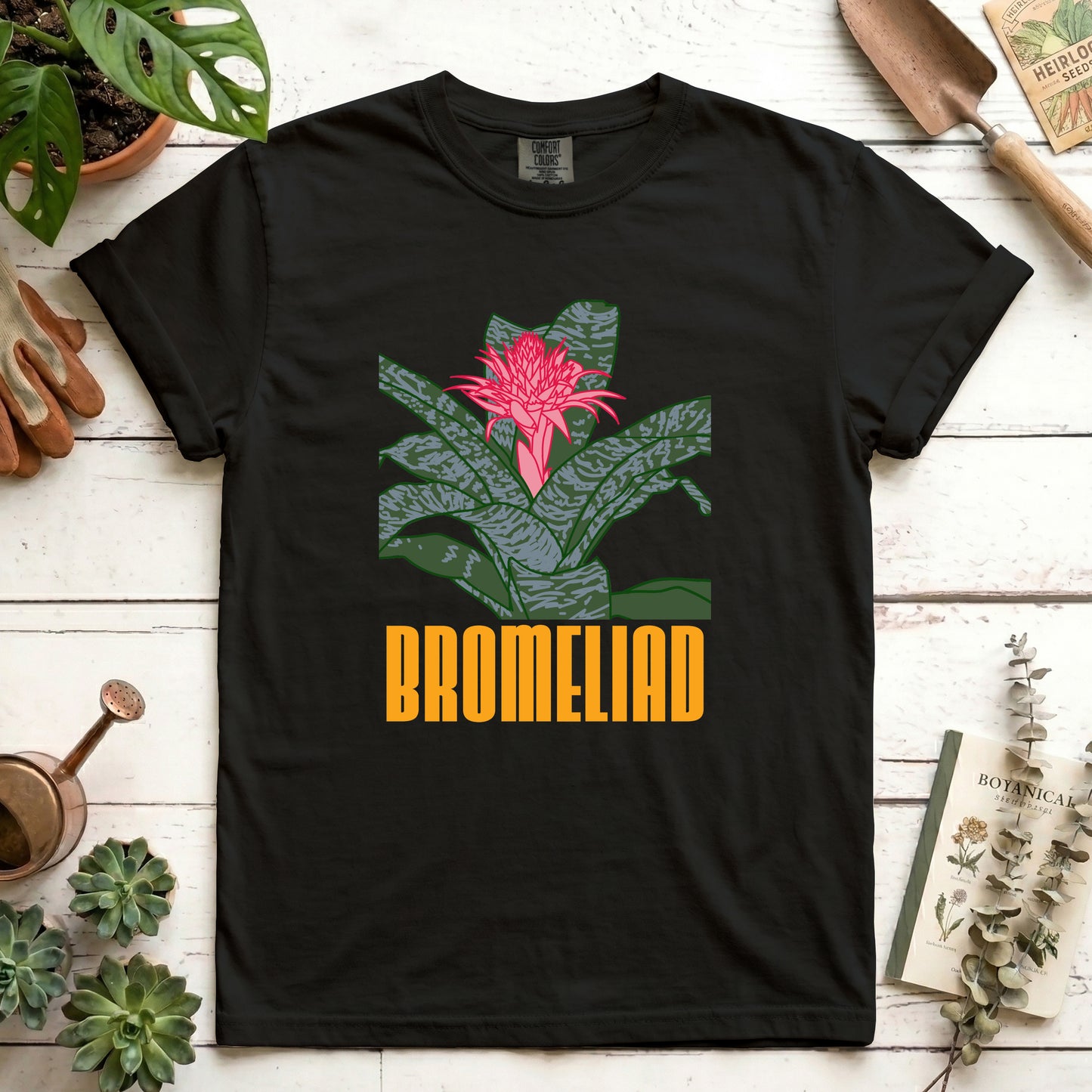 Bromeliad - Front
