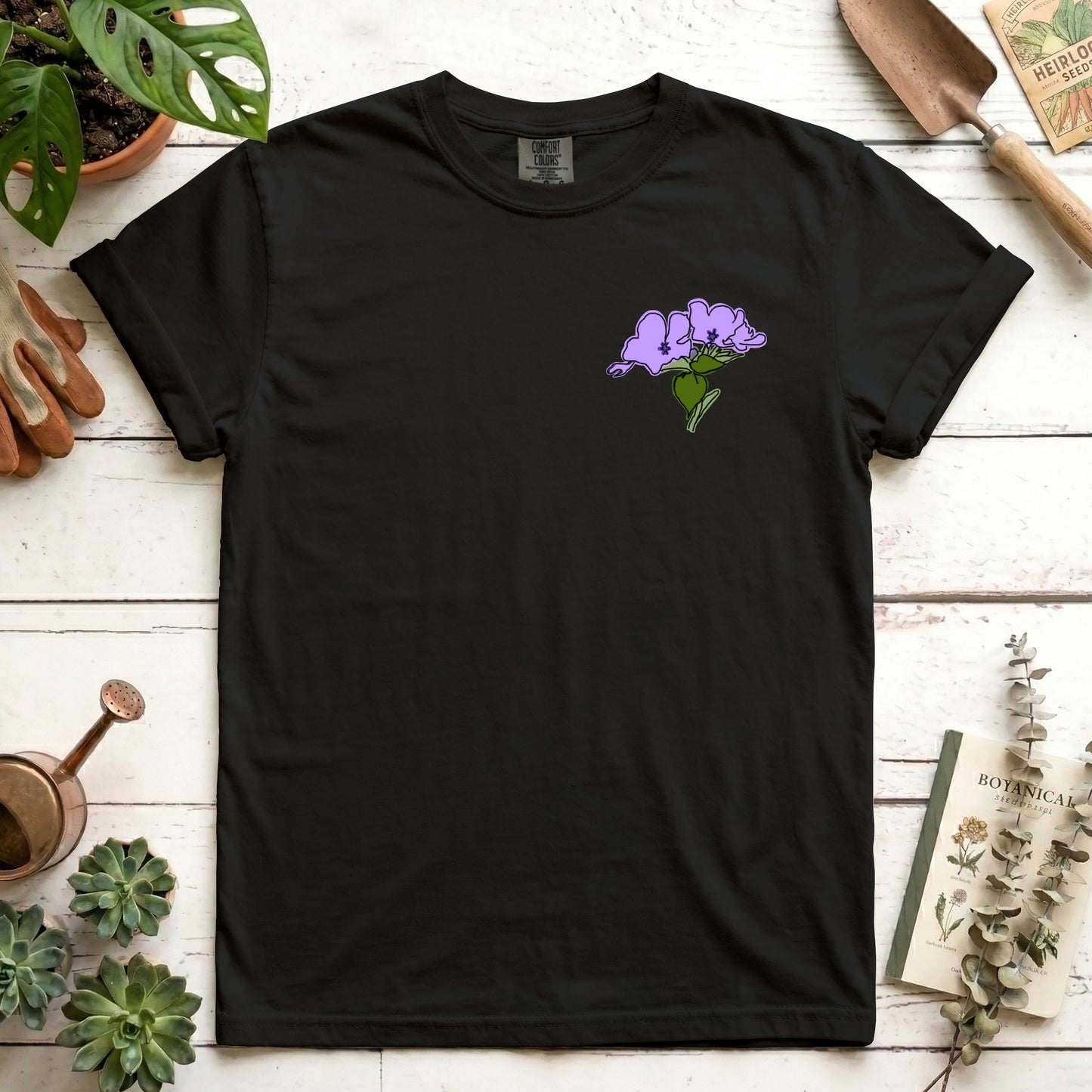 phlox