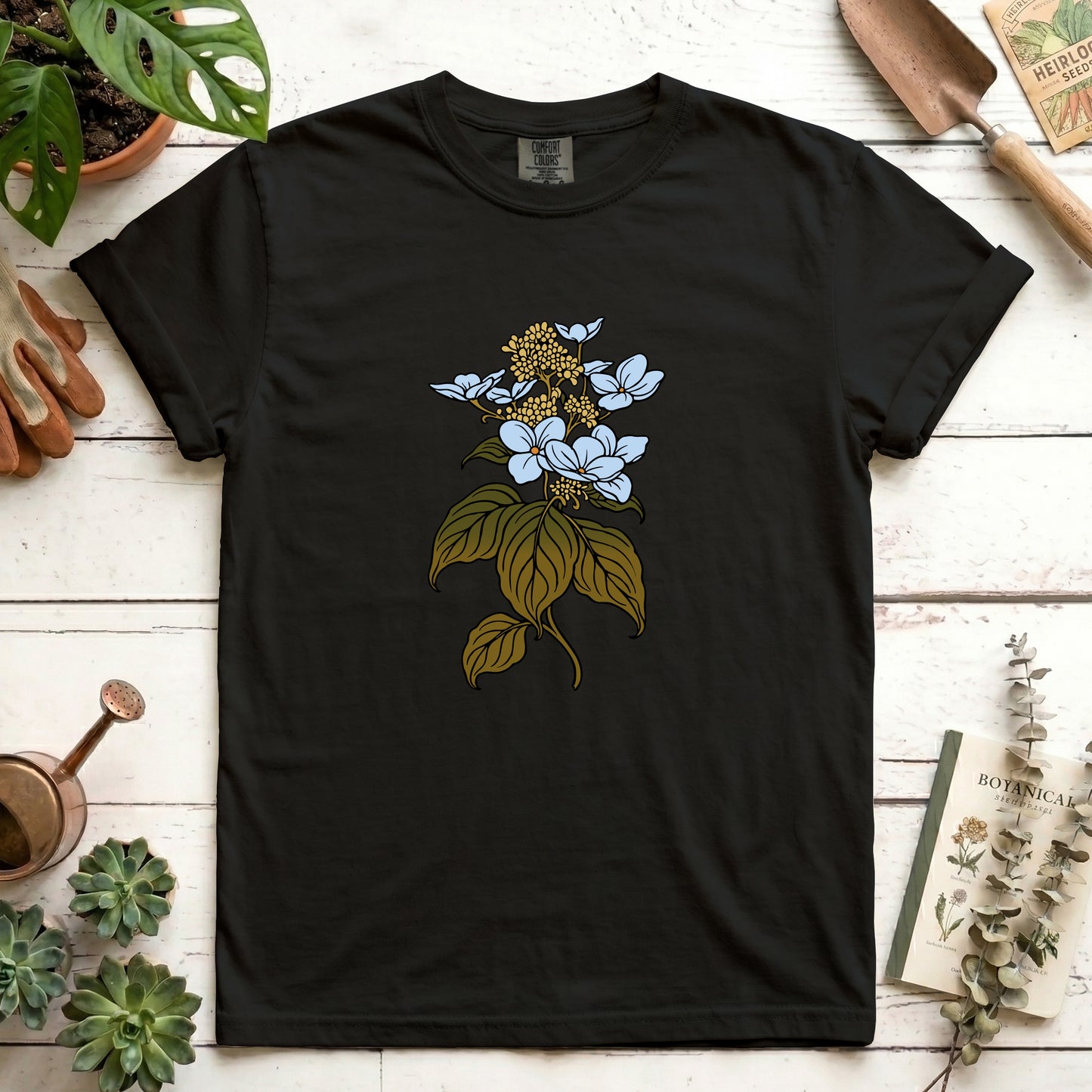 Hydrangea - Front