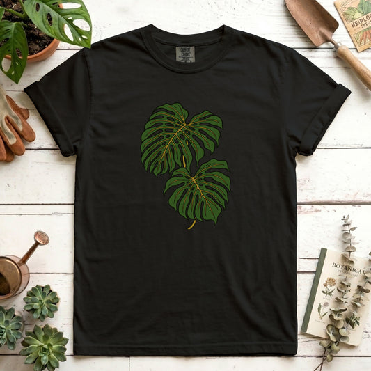 Monstera - Front