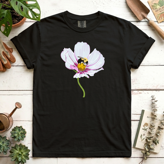 Cosmo & bee