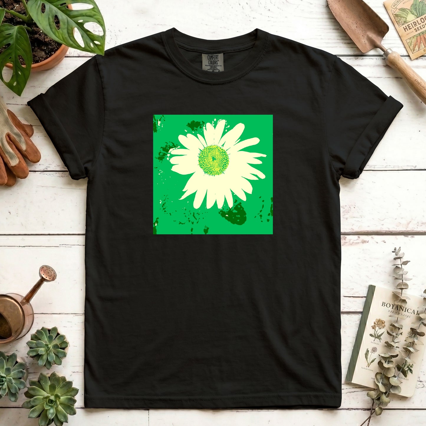 Pop of Daisy