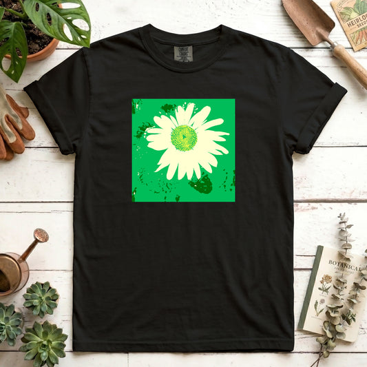 Pop of Daisy