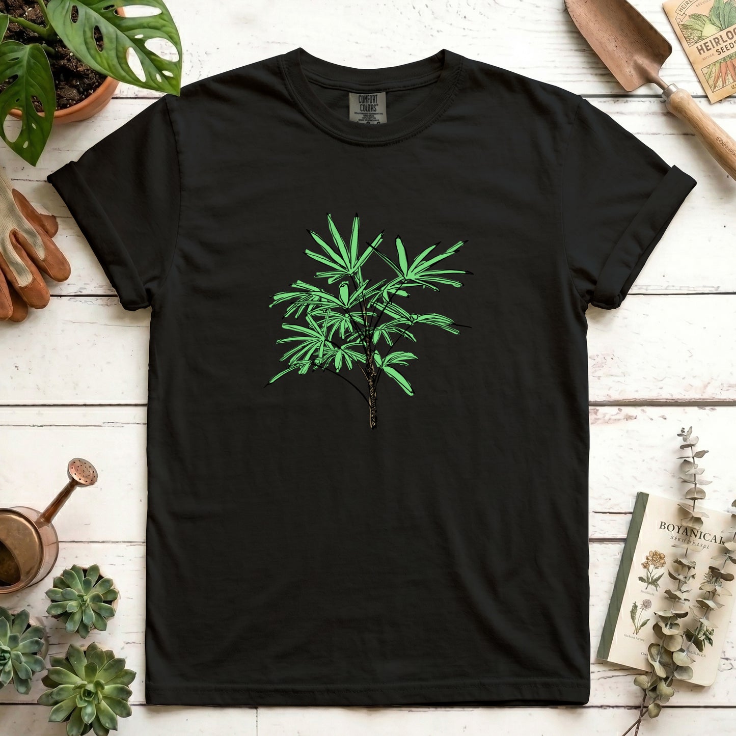 Lady Palm - Front