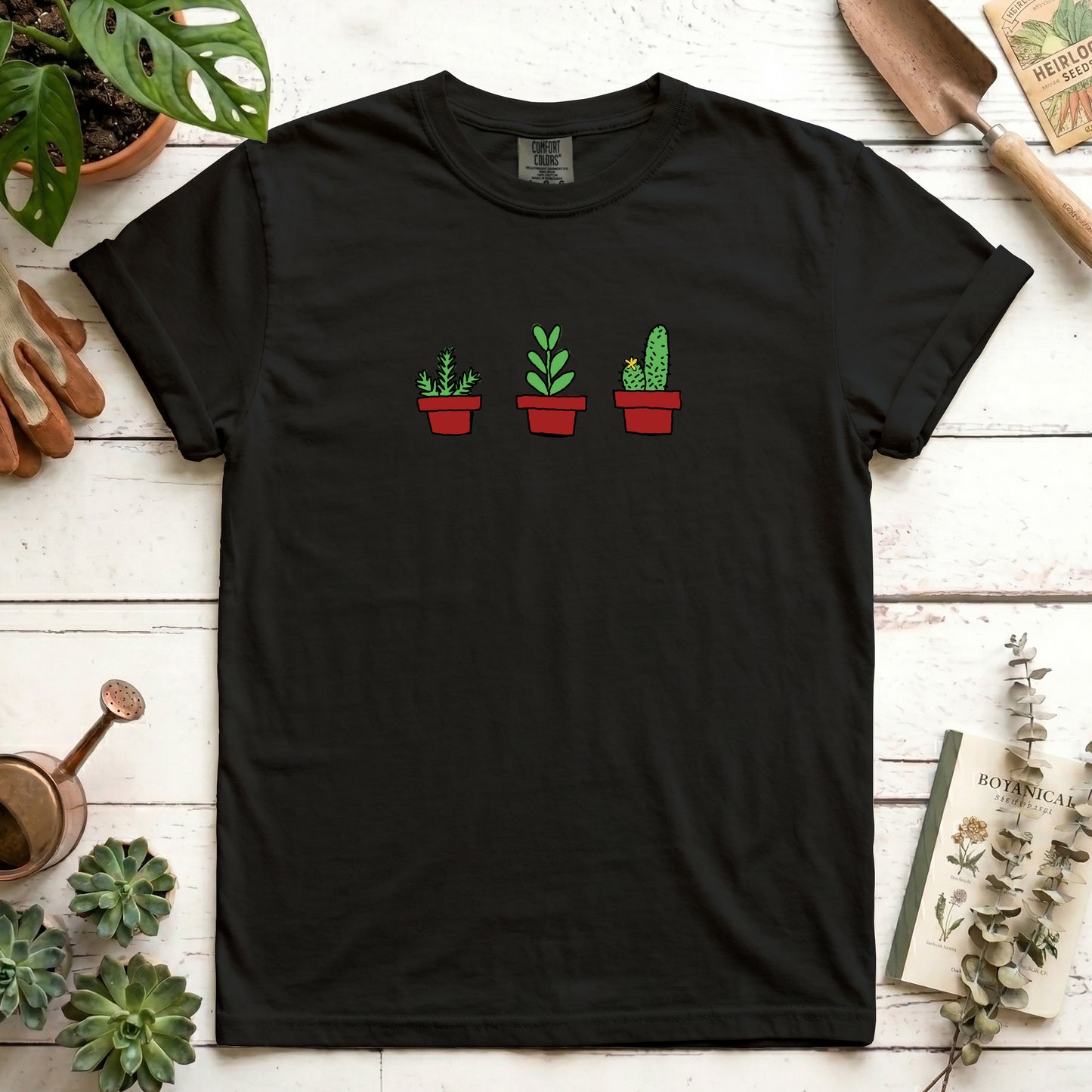house plants
