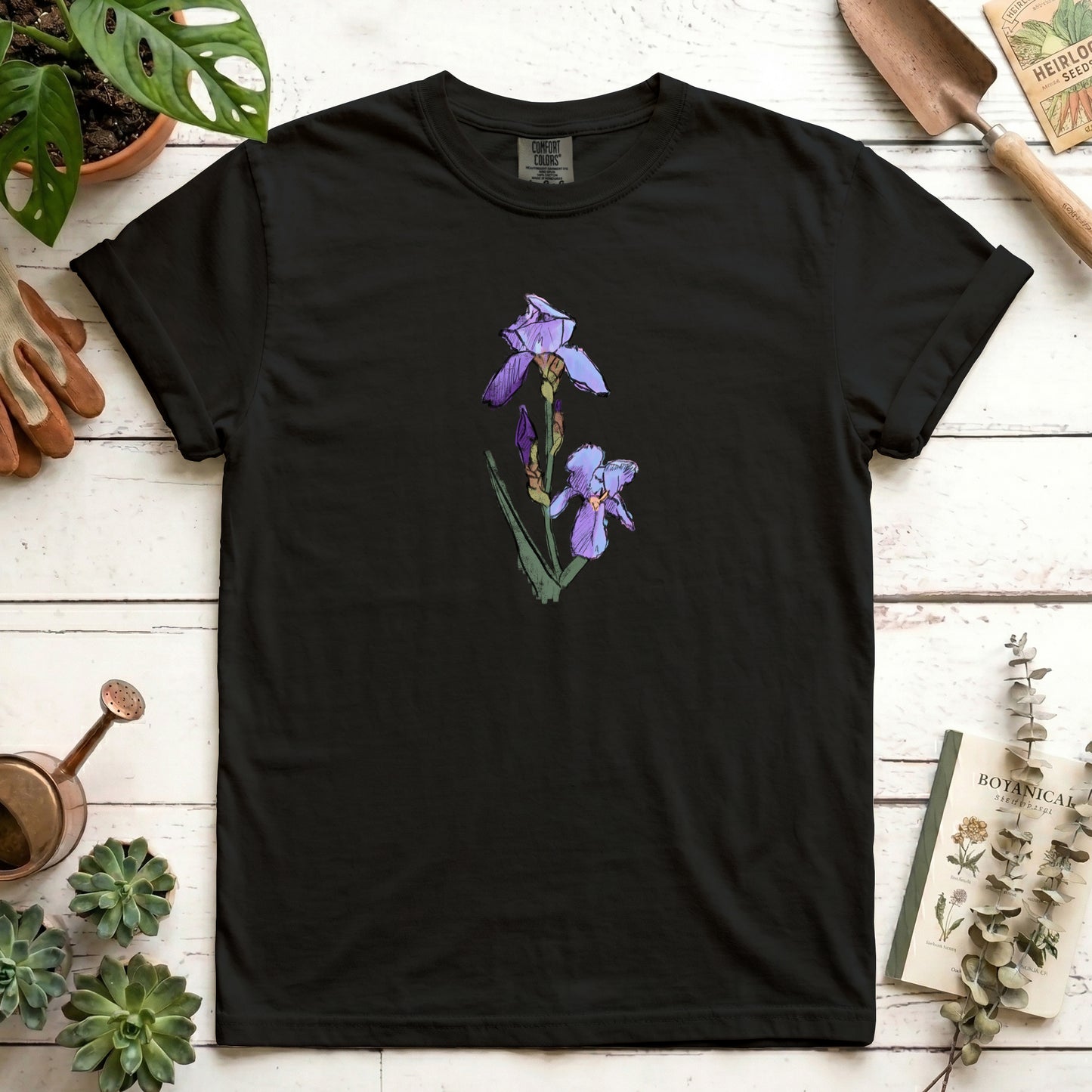Iris sketch - Front