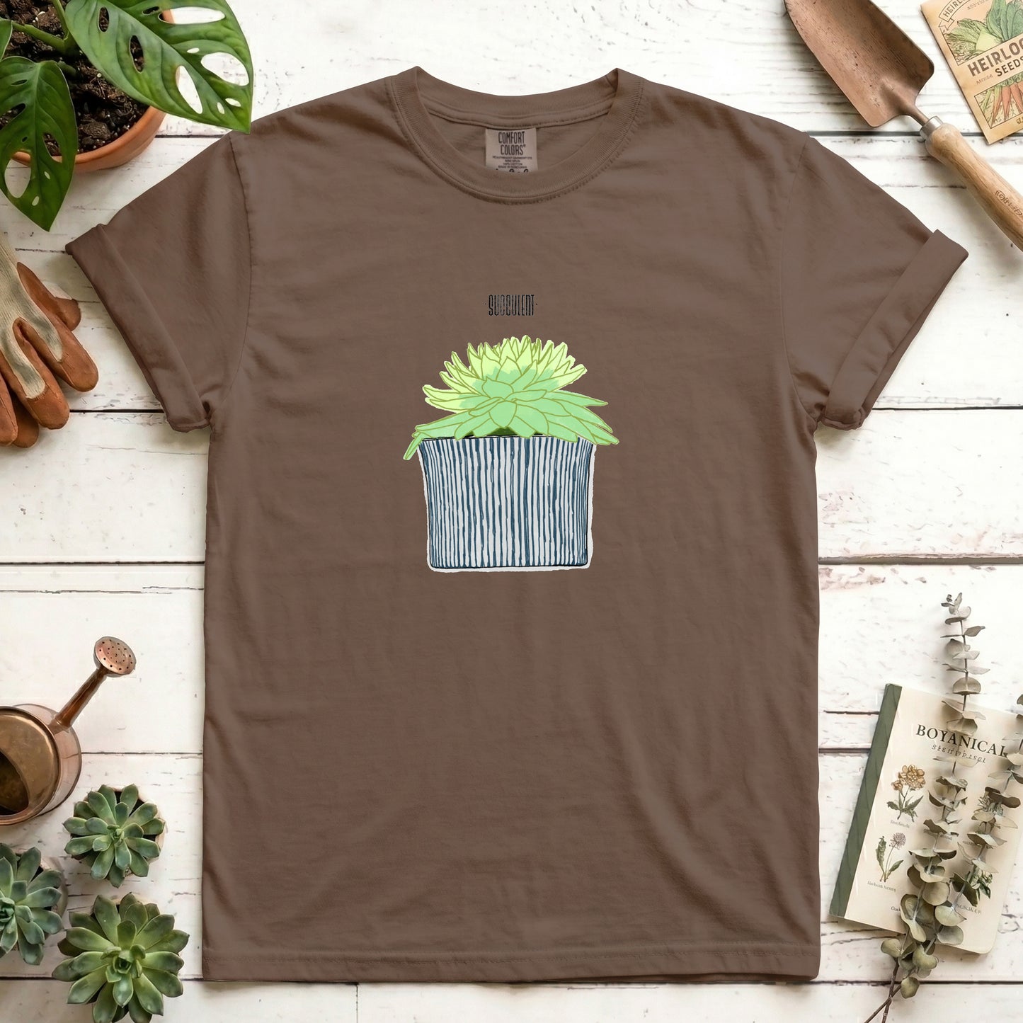 Succulent