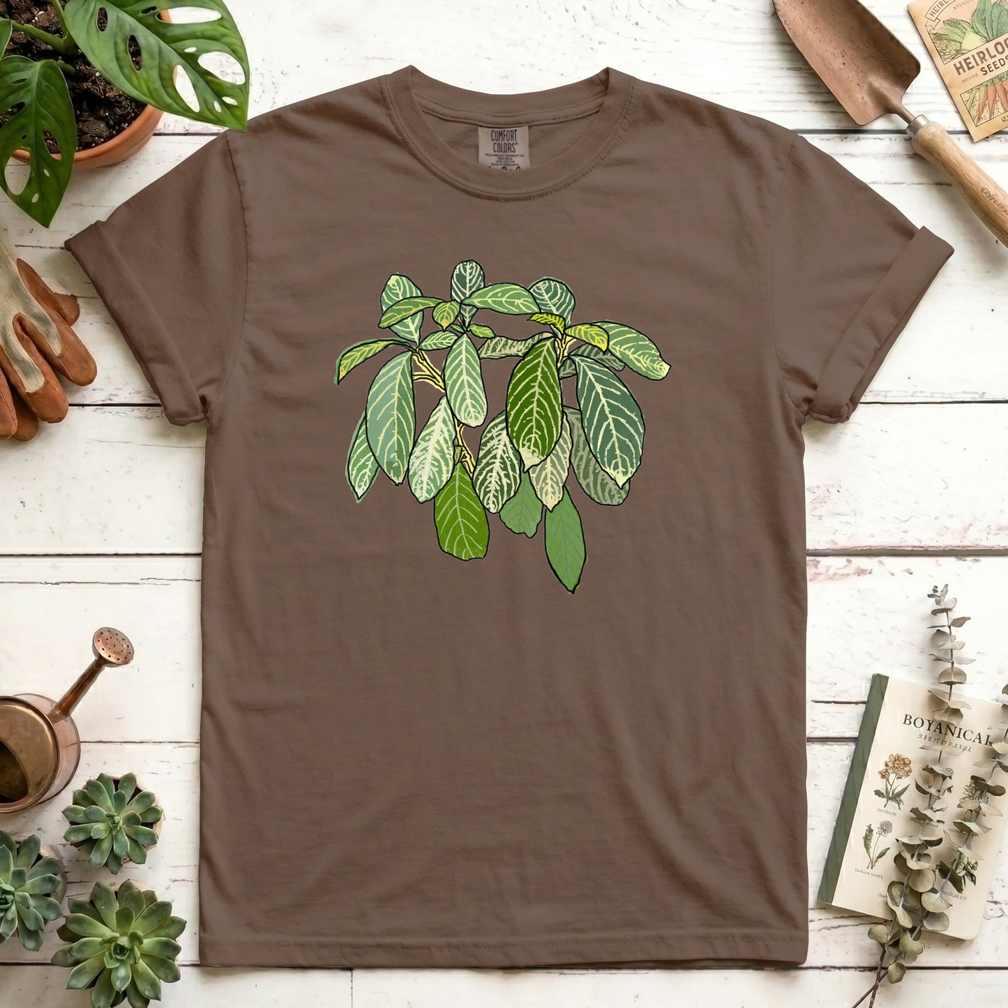 Zebra Plant