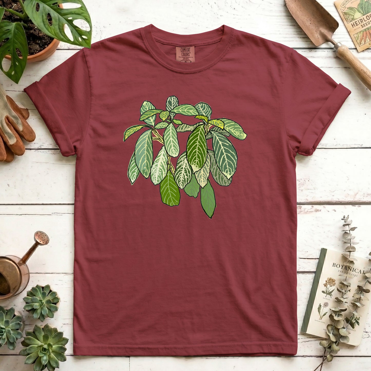 Zebra Plant