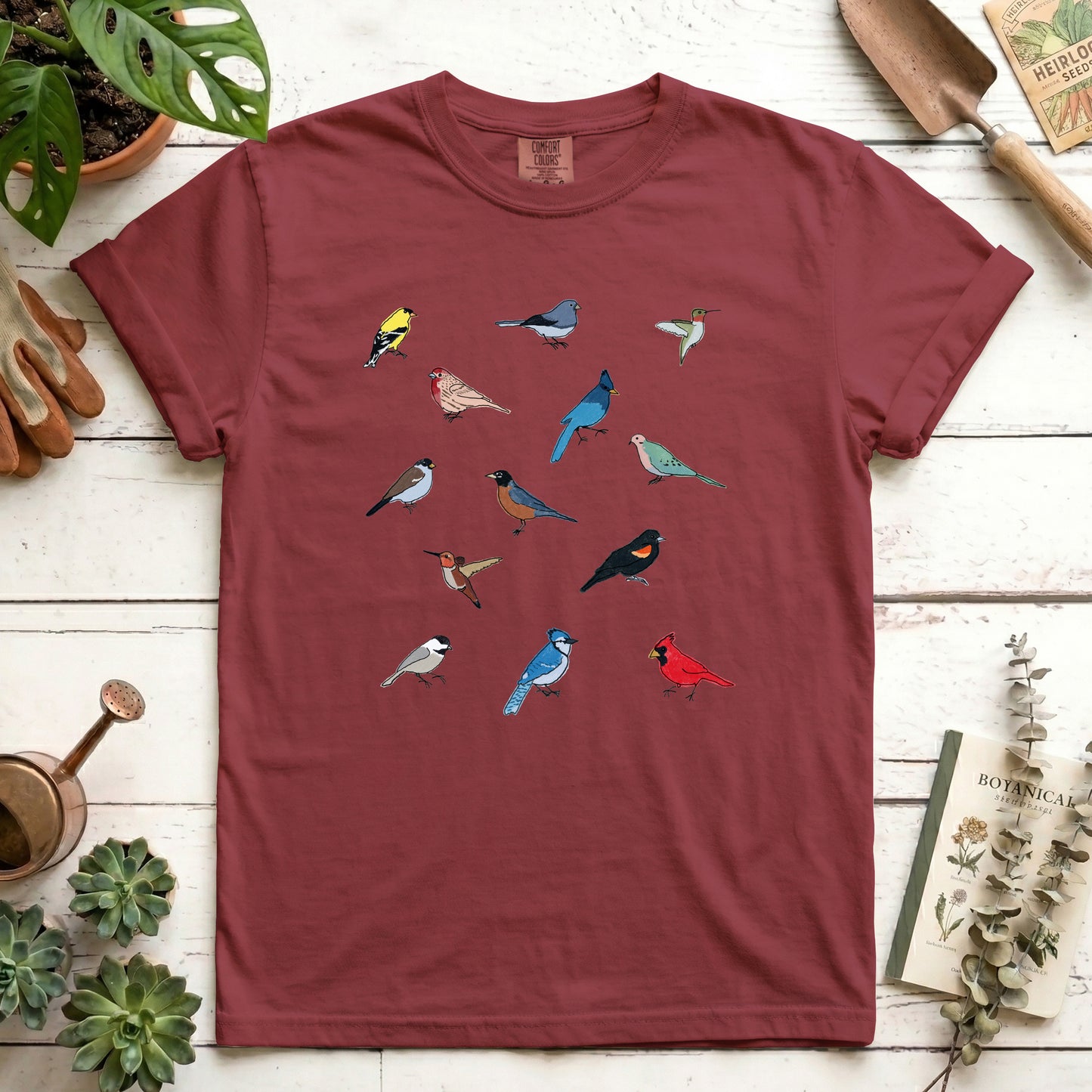 Birds