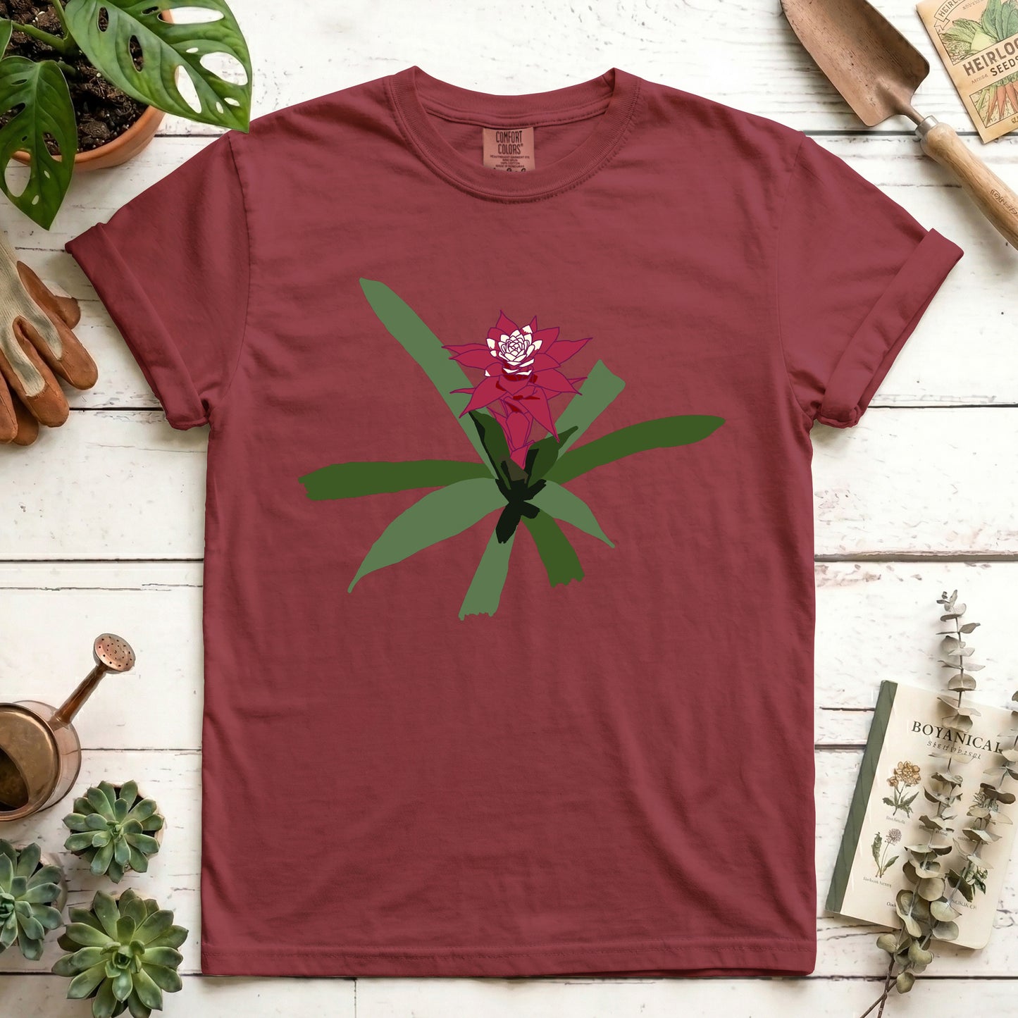 maroon bromeliad