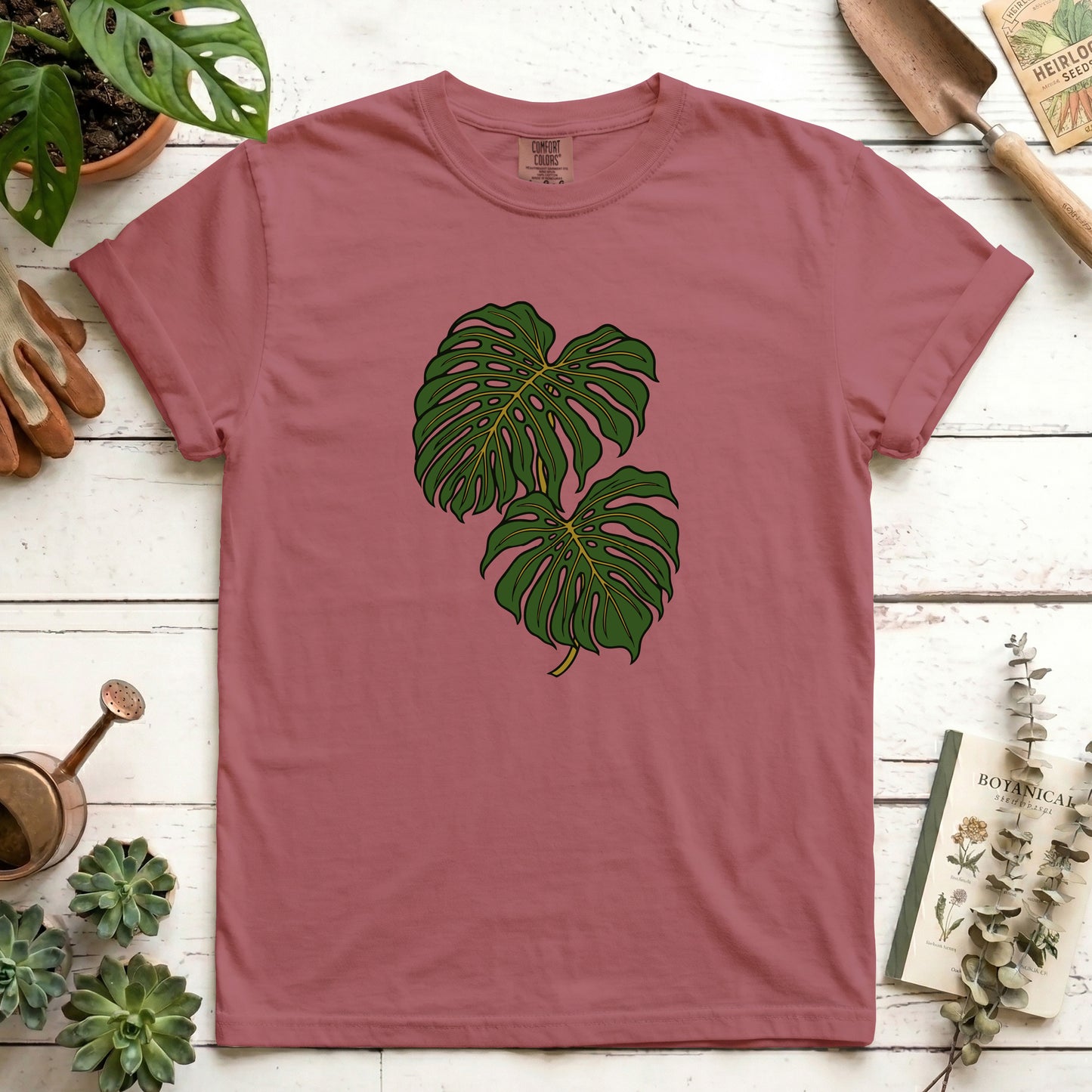 Monstera - Front
