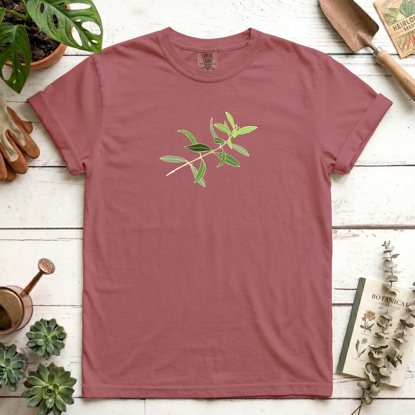 Olive branch