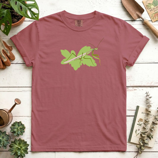 Mantis