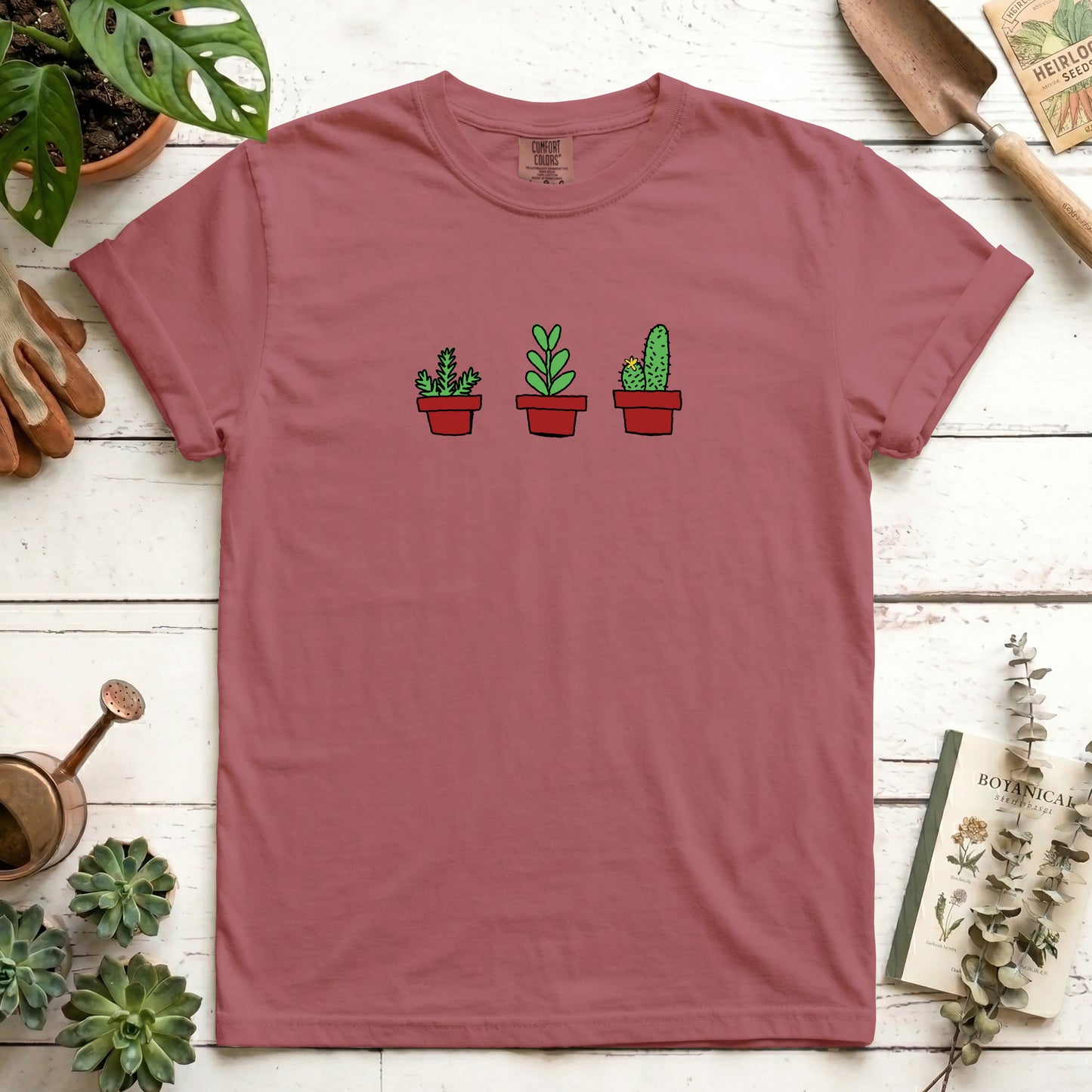 house plants