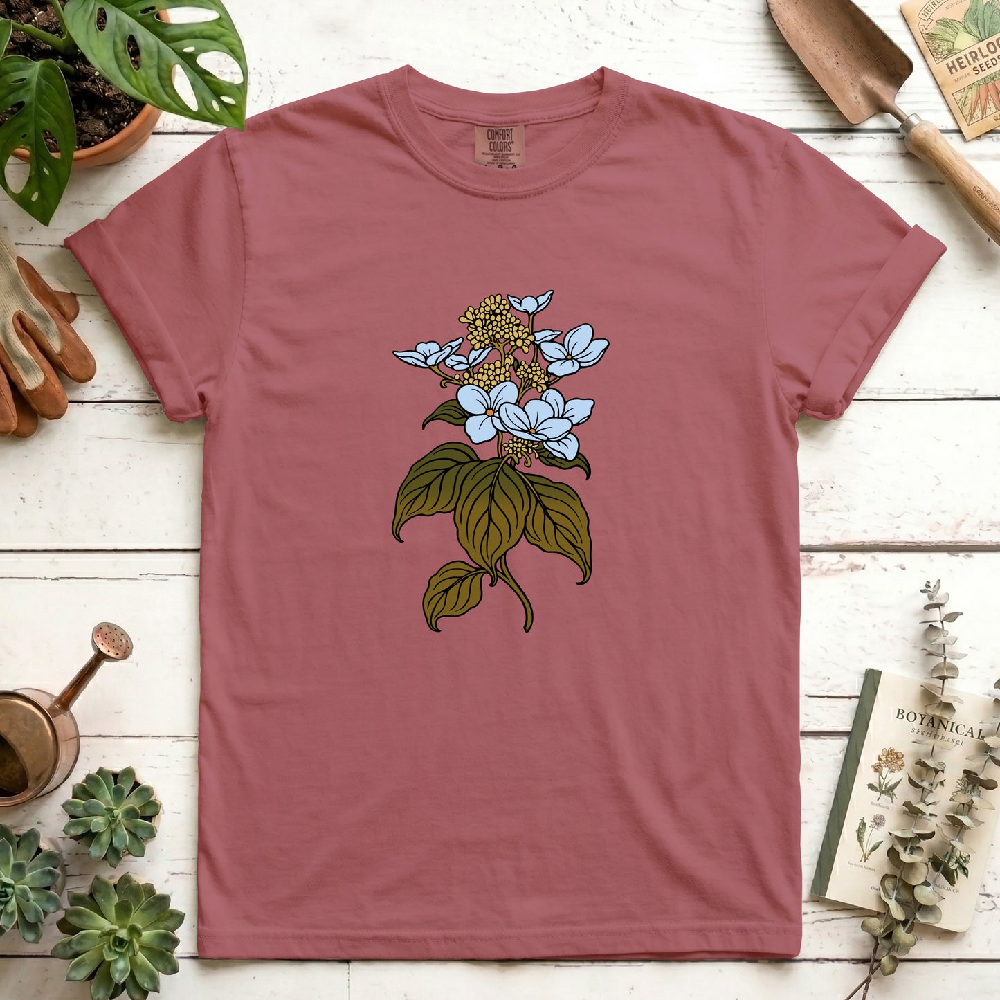 Hydrangea - Front