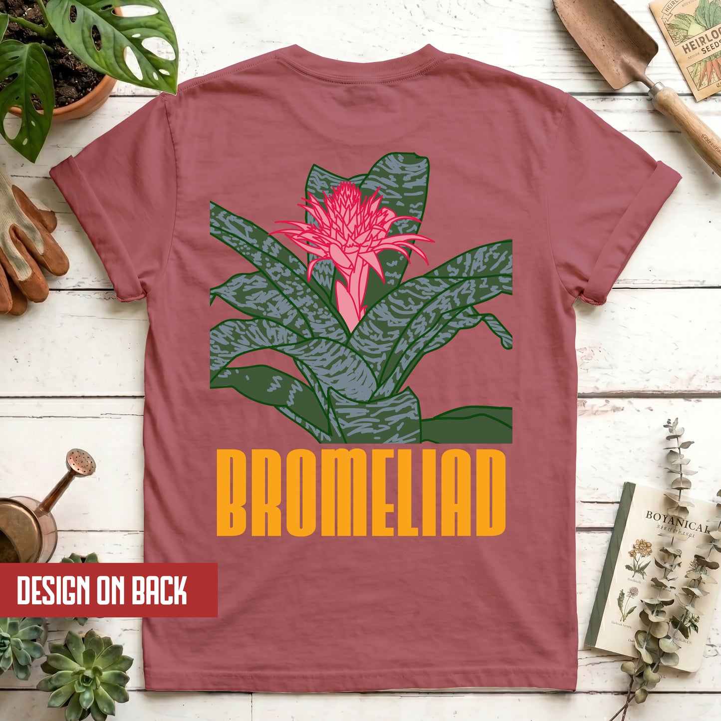 Bromeliad