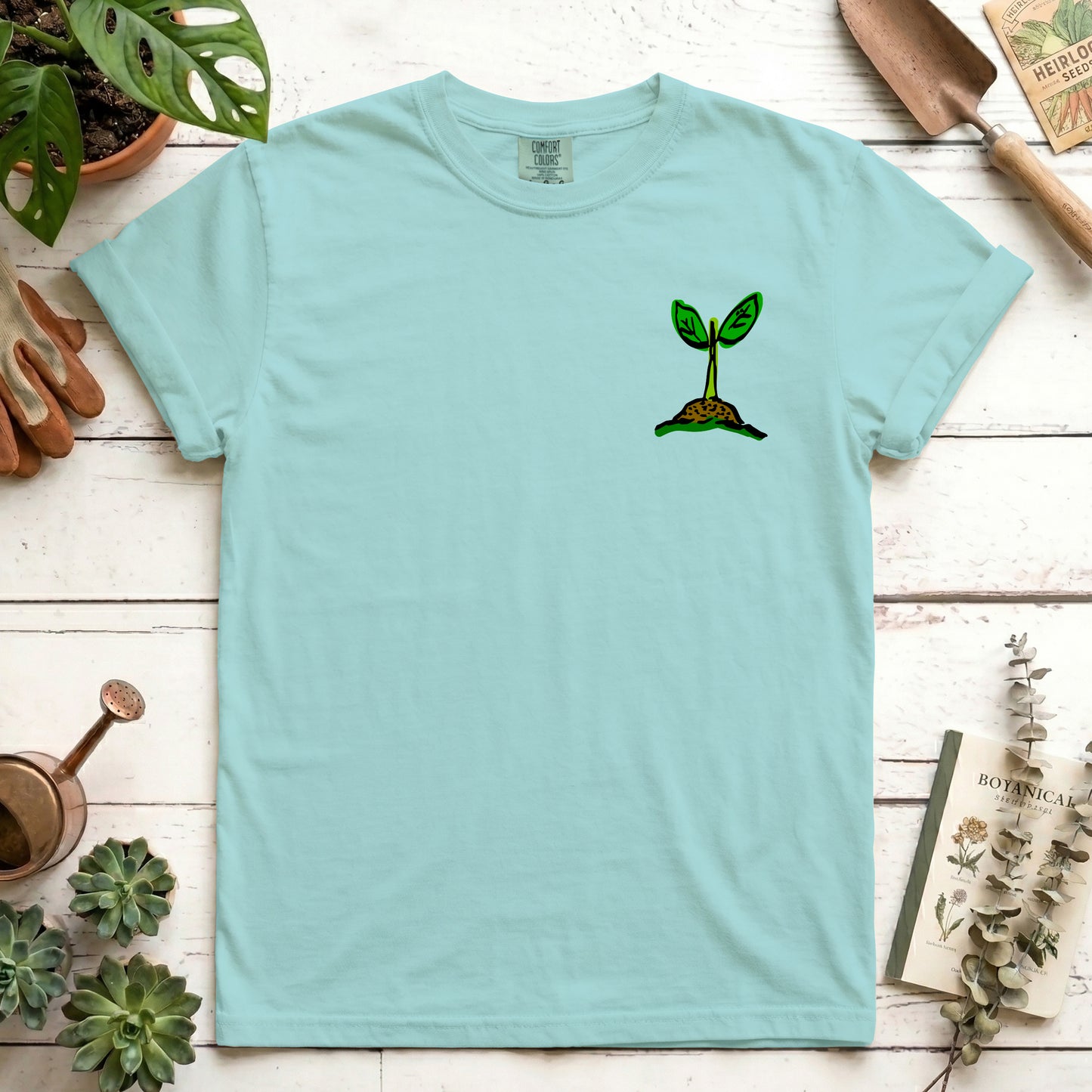 Seedling