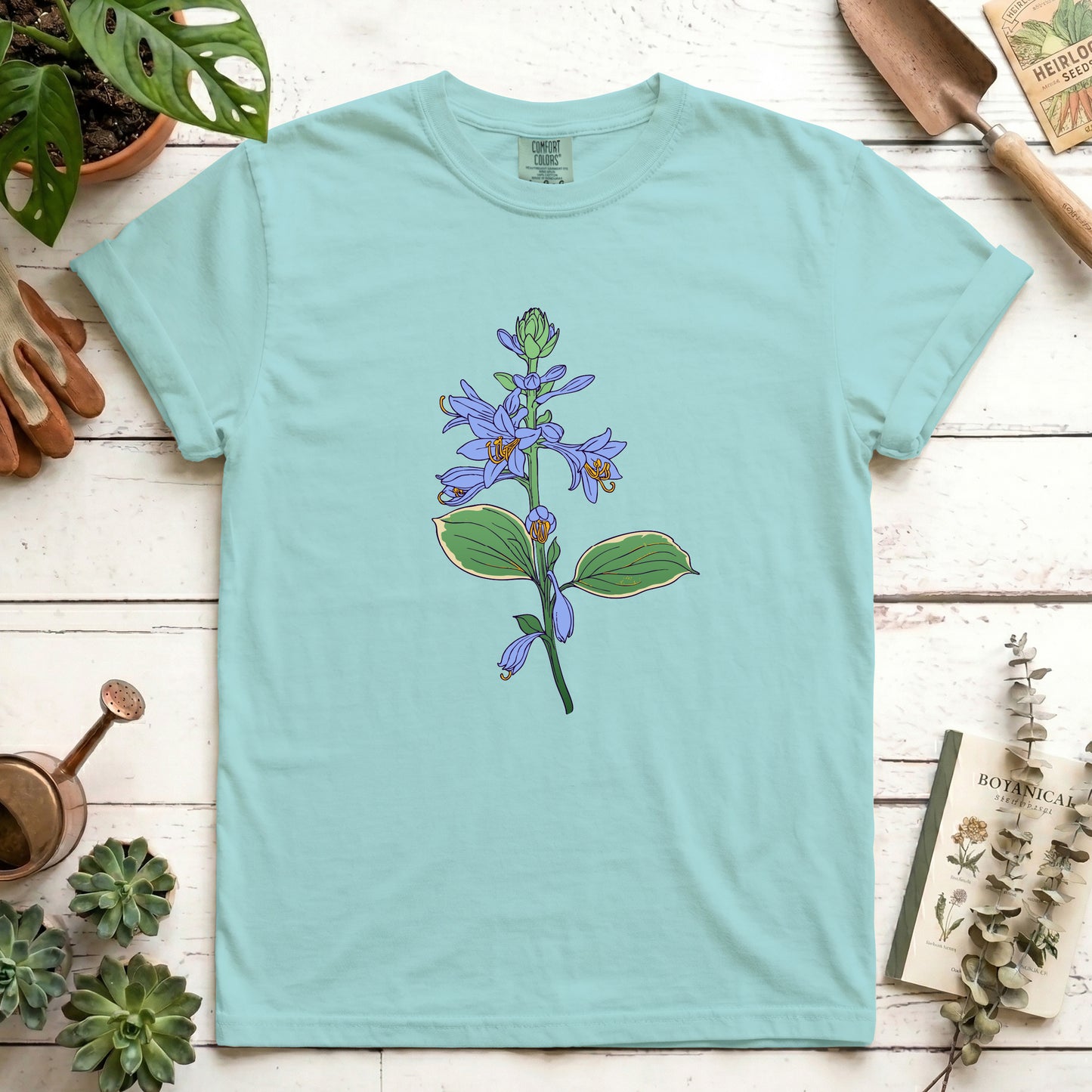 Hosta - Front