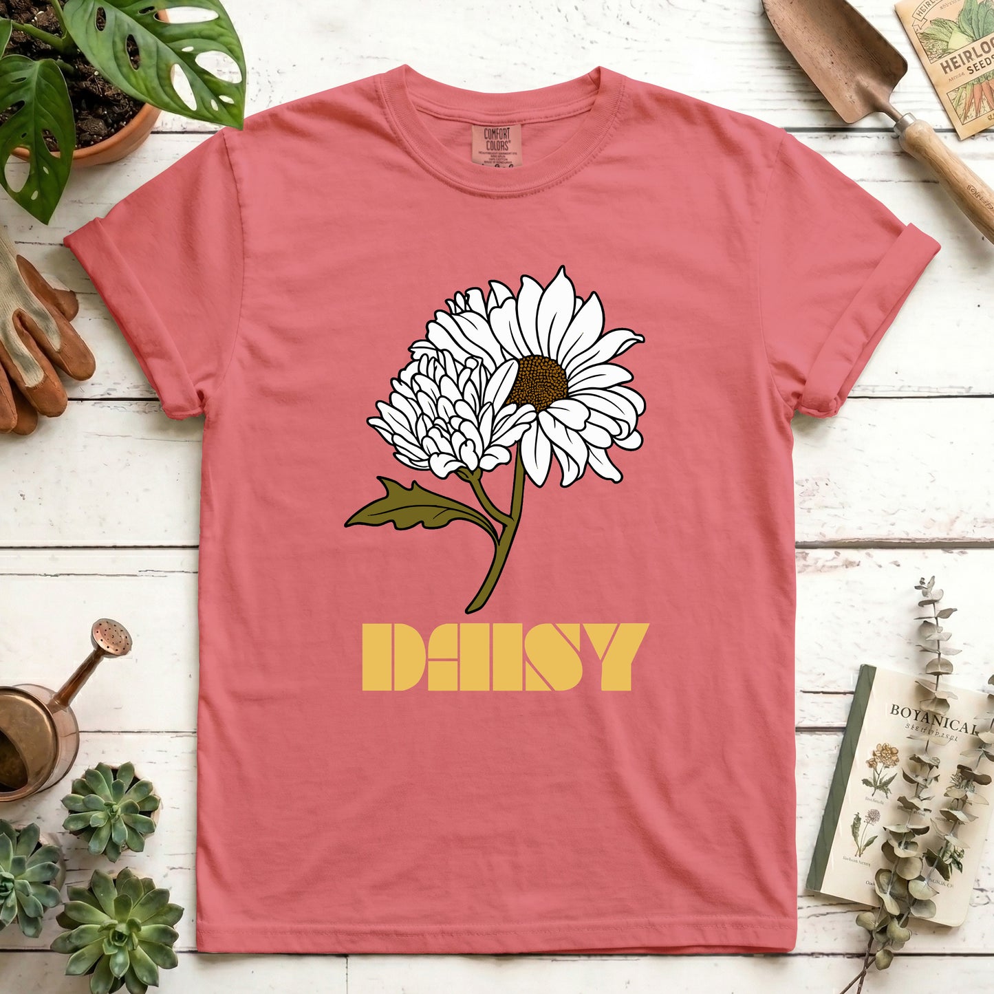 Daisy