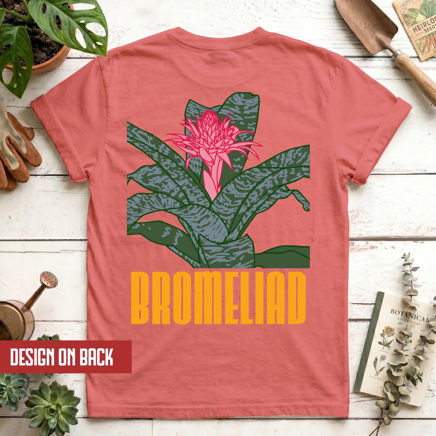 Bromeliad