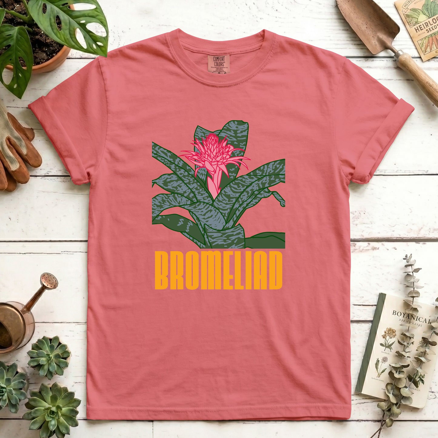 Bromeliad - Front