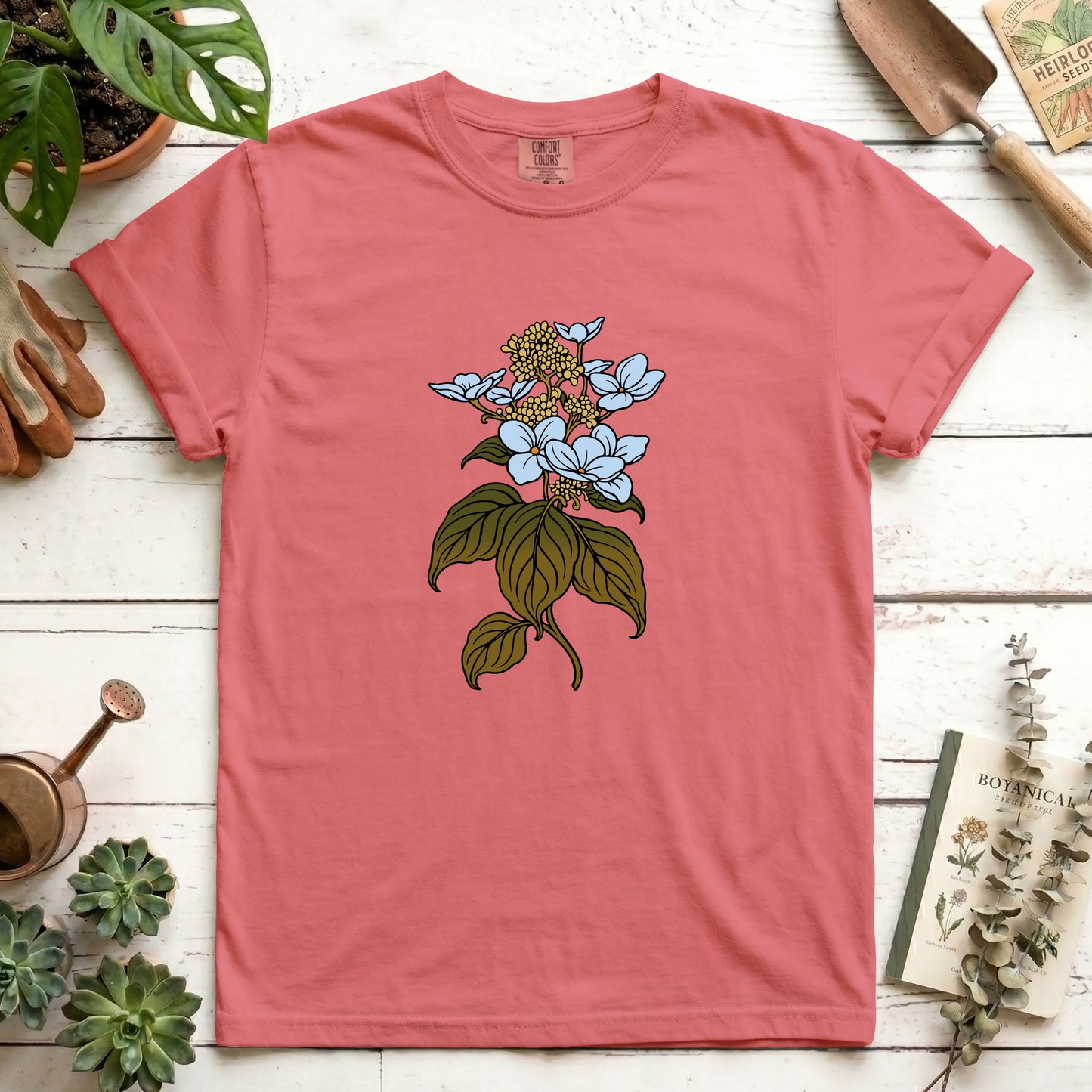 Hydrangea - Front