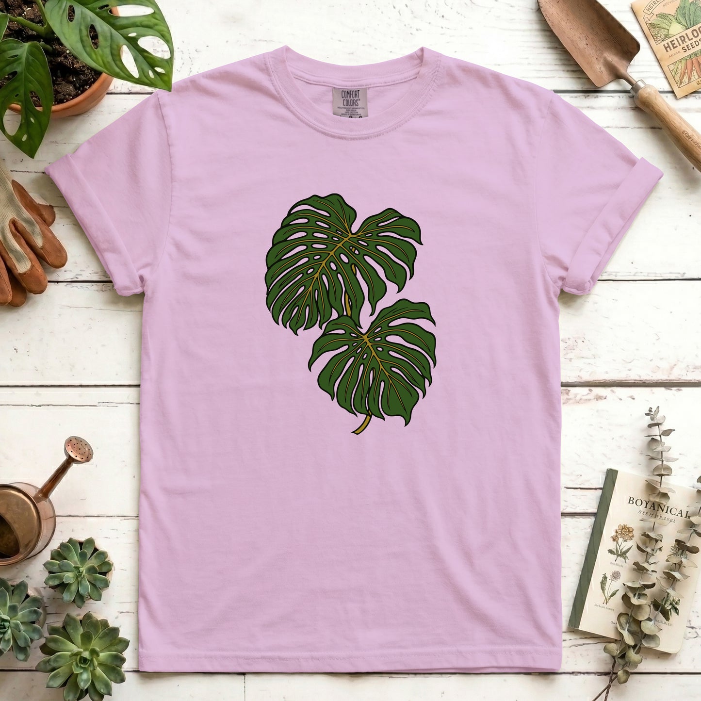 Monstera - Front