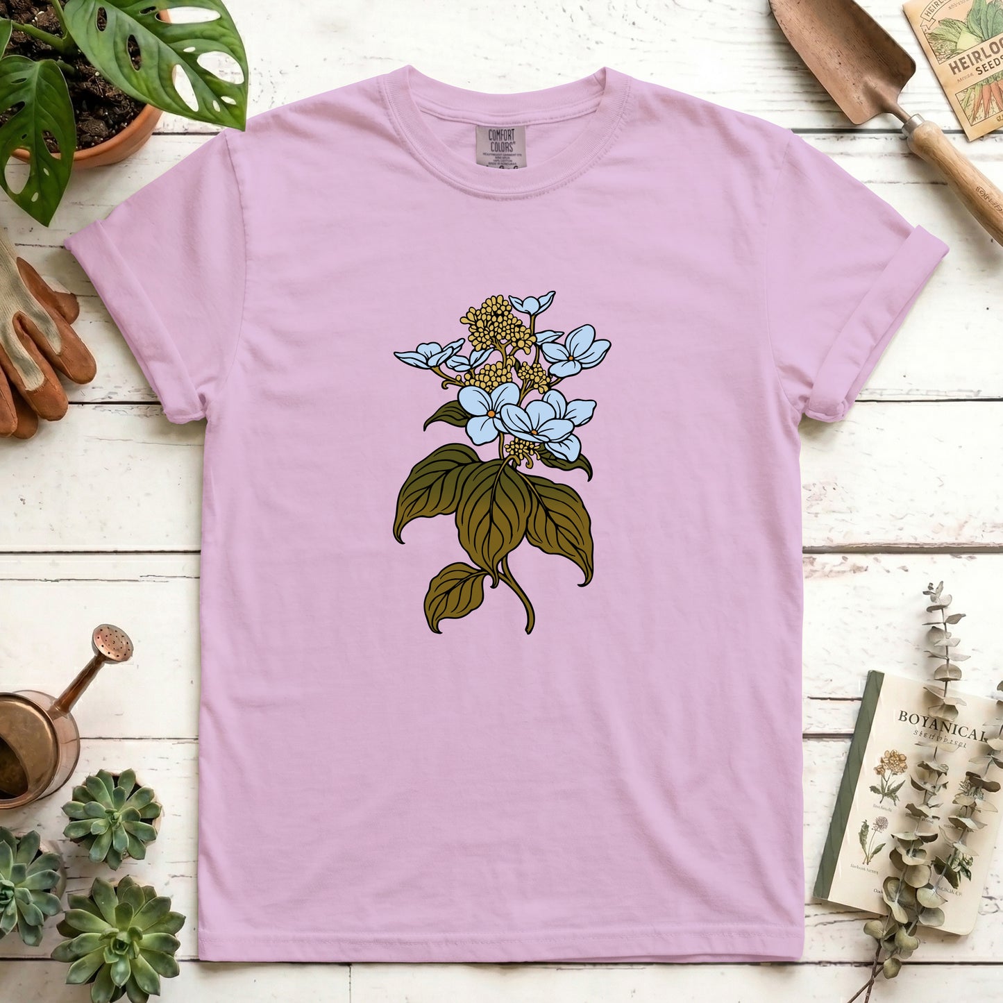 Hydrangea - Front