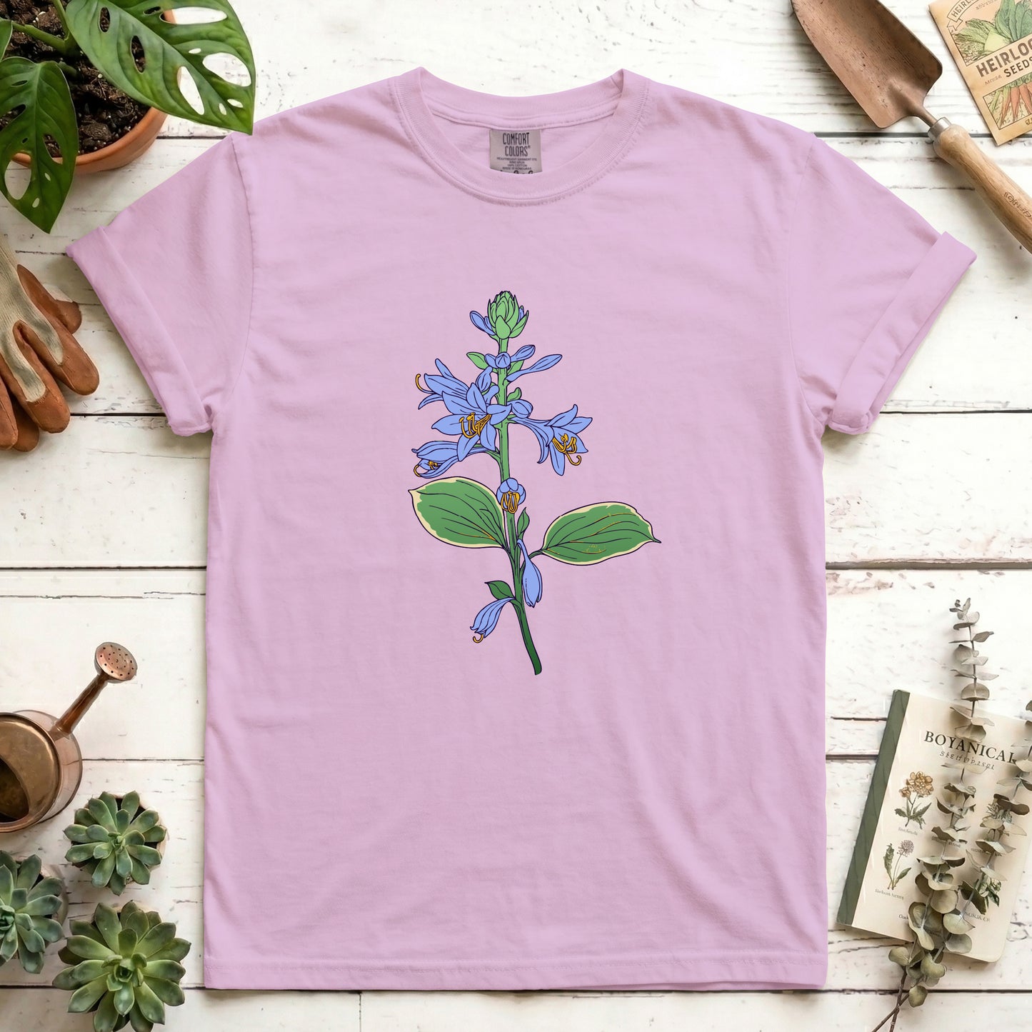 Hosta - Front