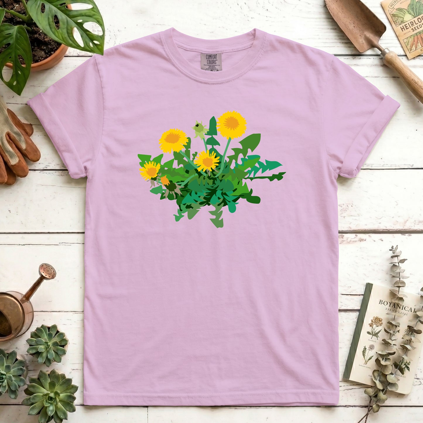 Dandelion - Front