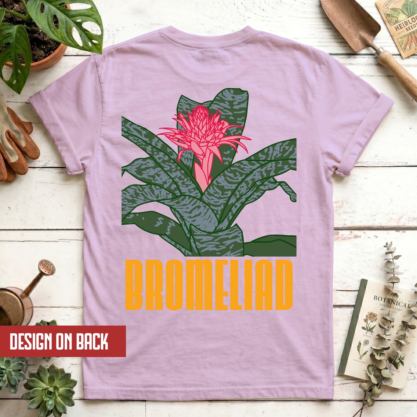 Bromeliad