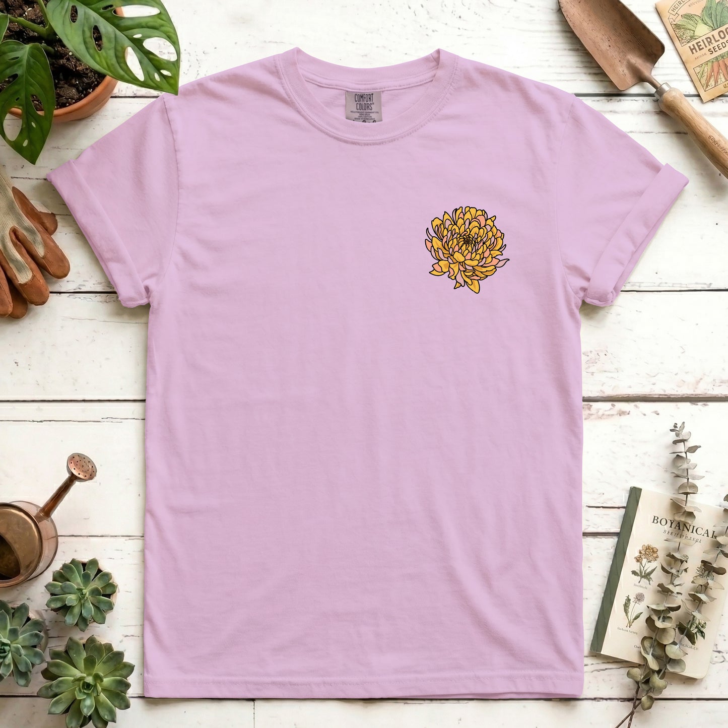 Chrysanthemum