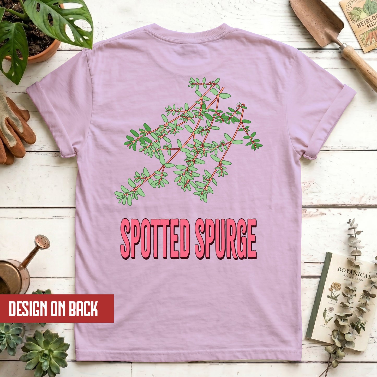 Spotted Spurge