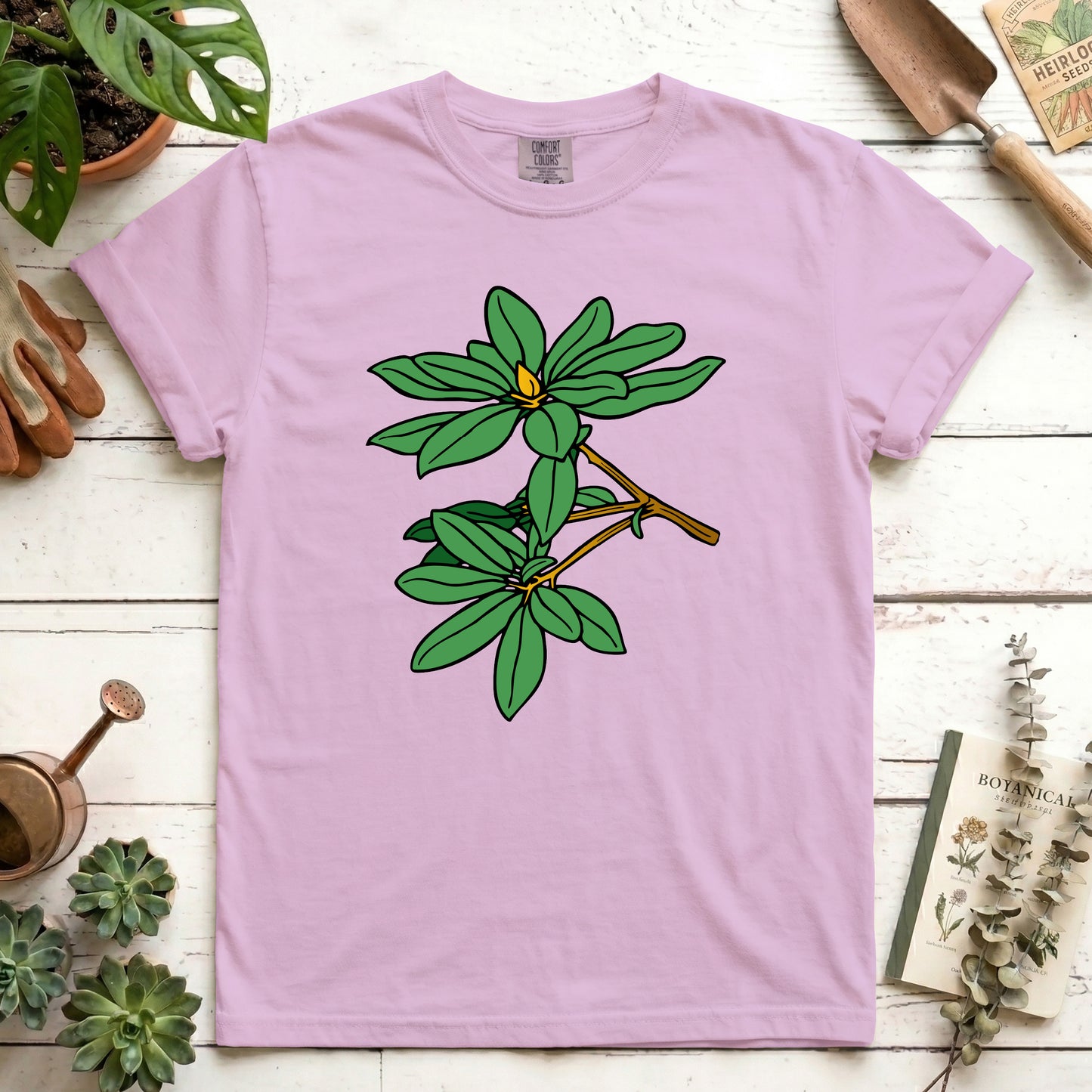 Rhododendron - Front