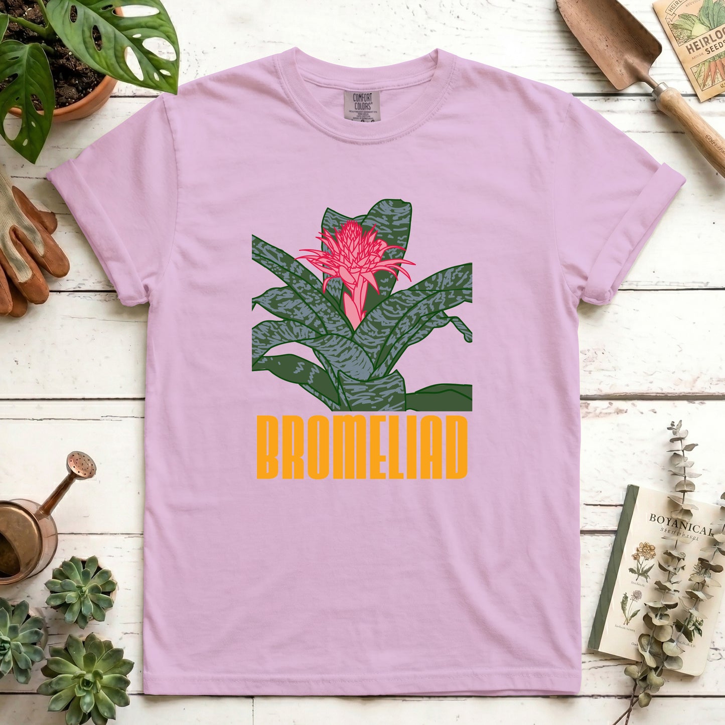 Bromeliad - Front