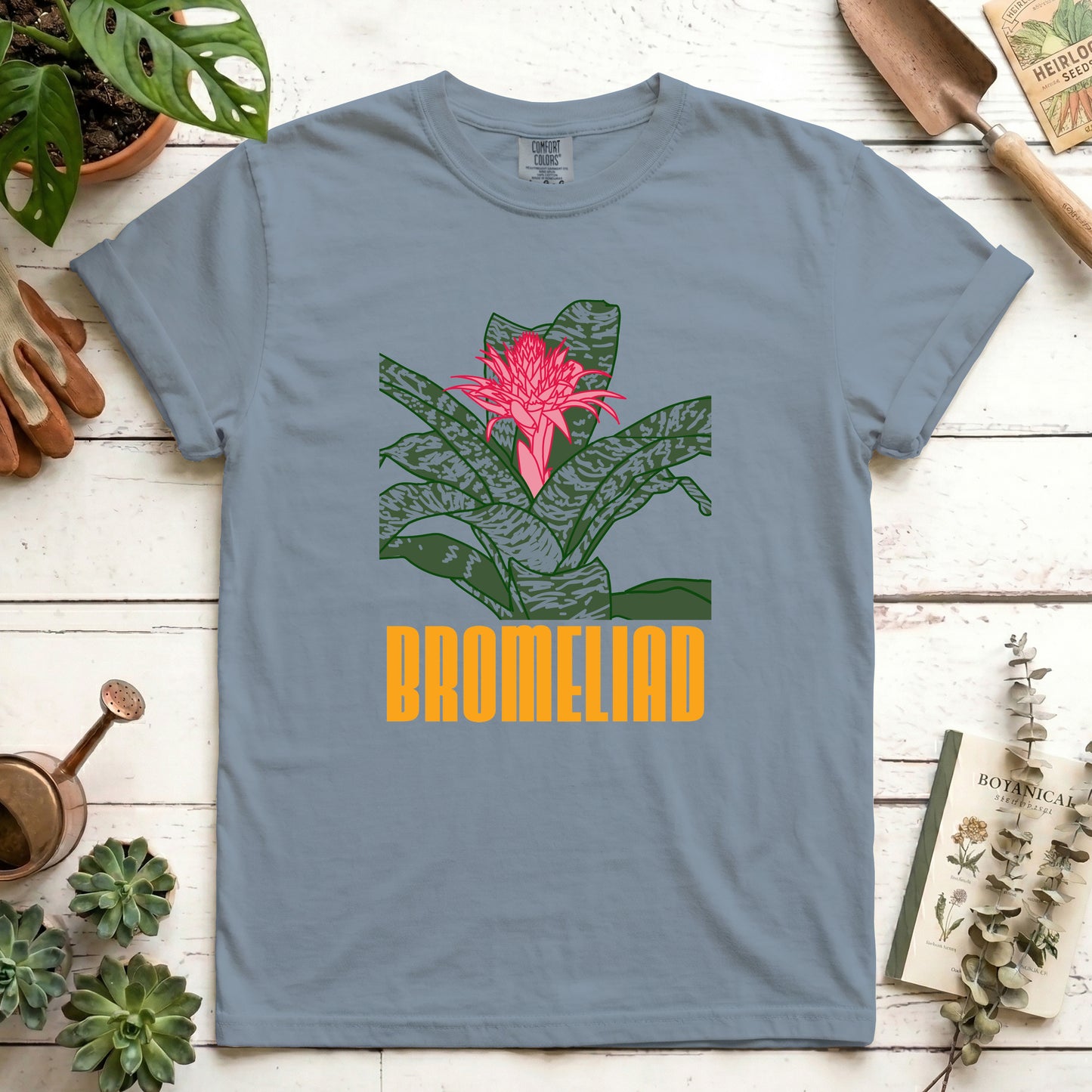 Bromeliad - Front