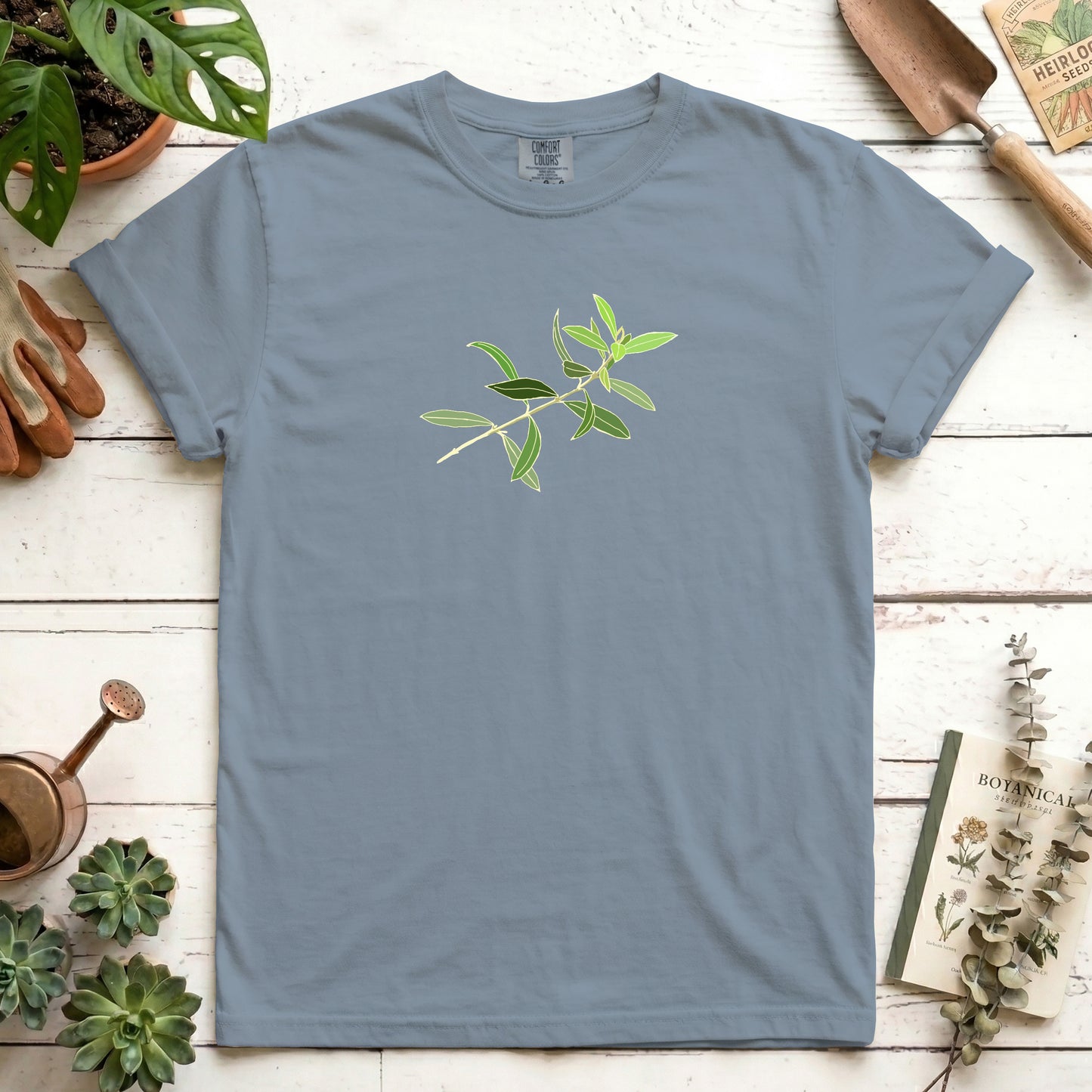 Olive branch