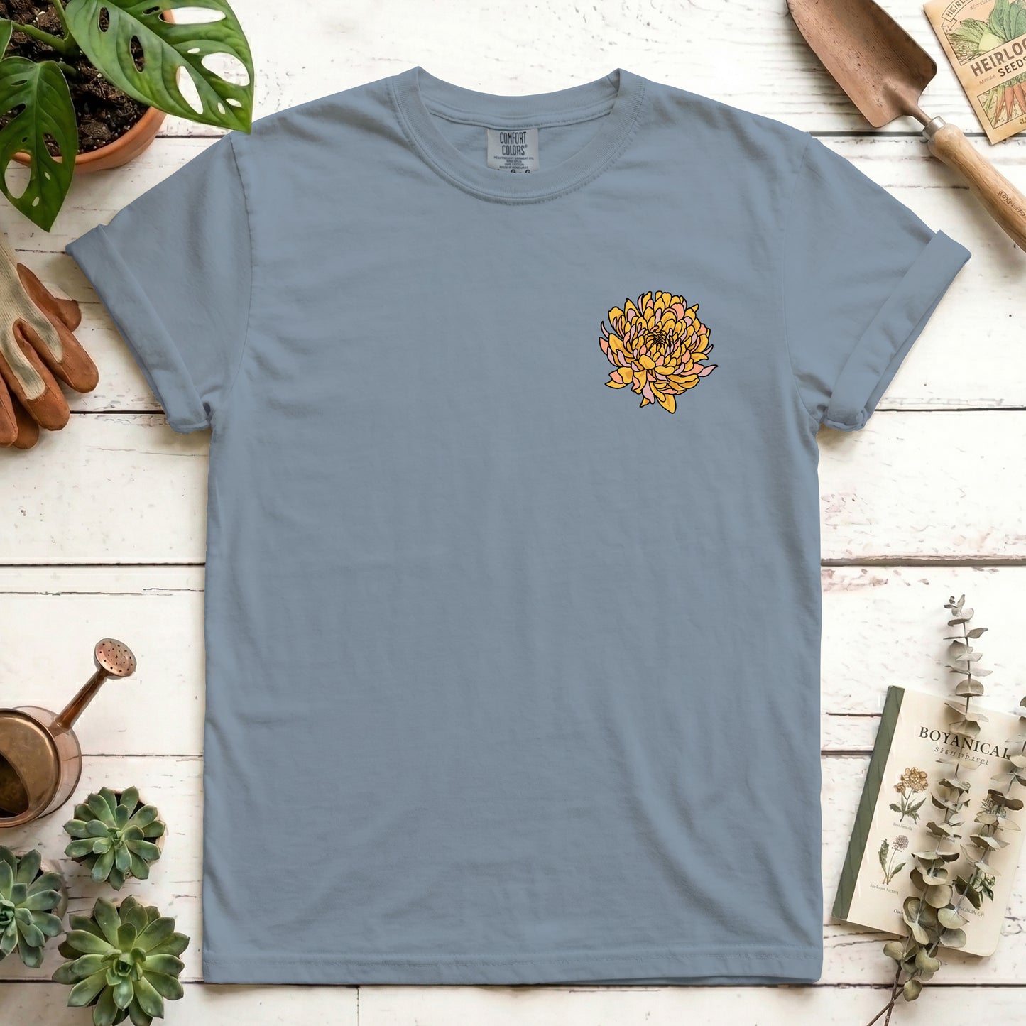 Chrysanthemum
