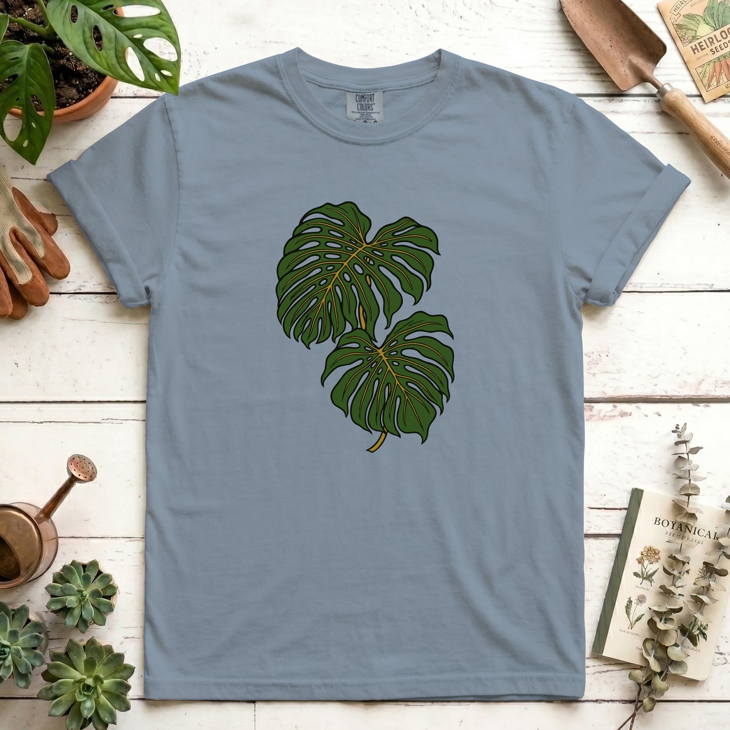 Monstera - Front