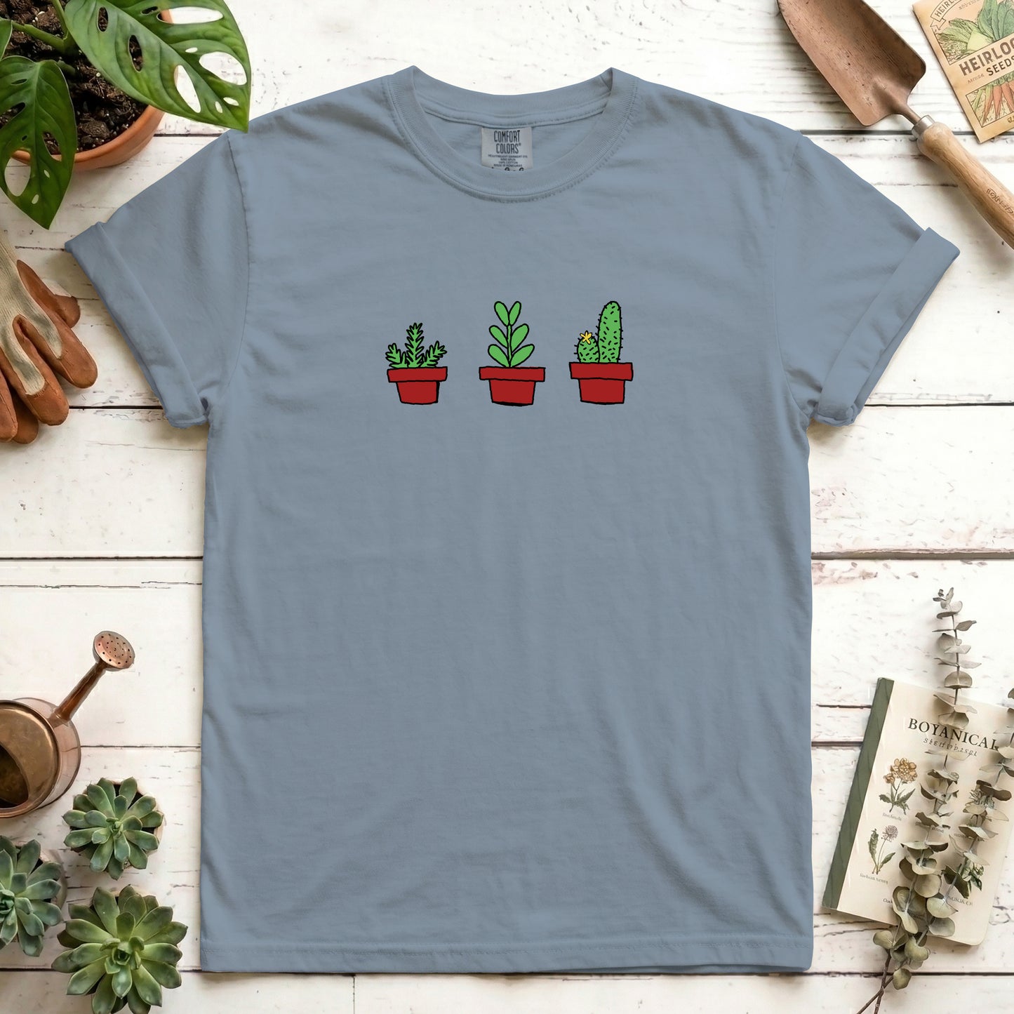 house plants
