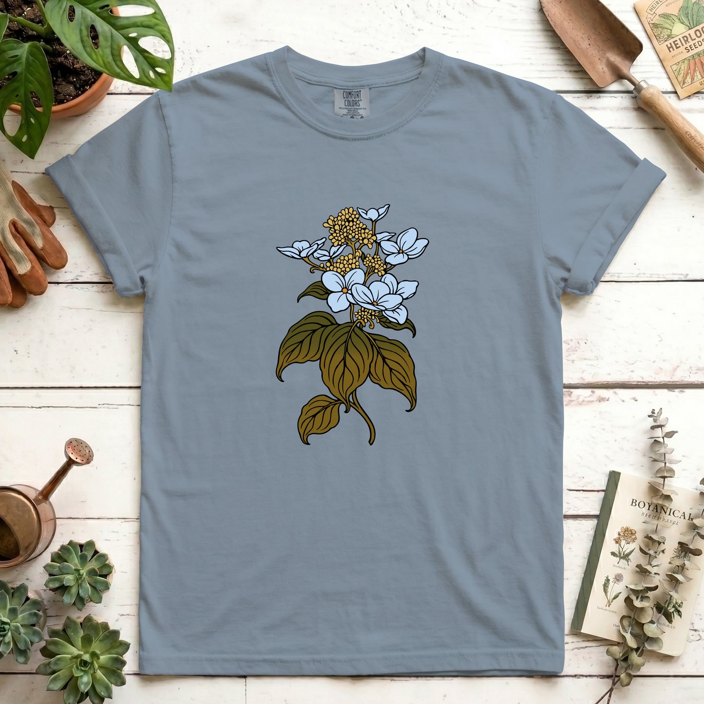 Hydrangea - Front