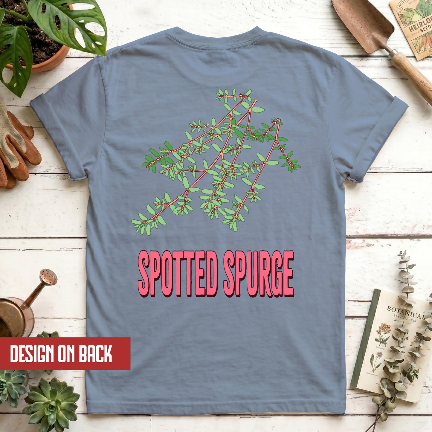 Spotted Spurge