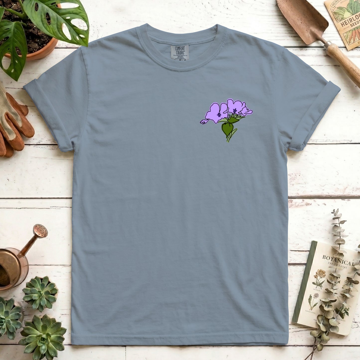 phlox