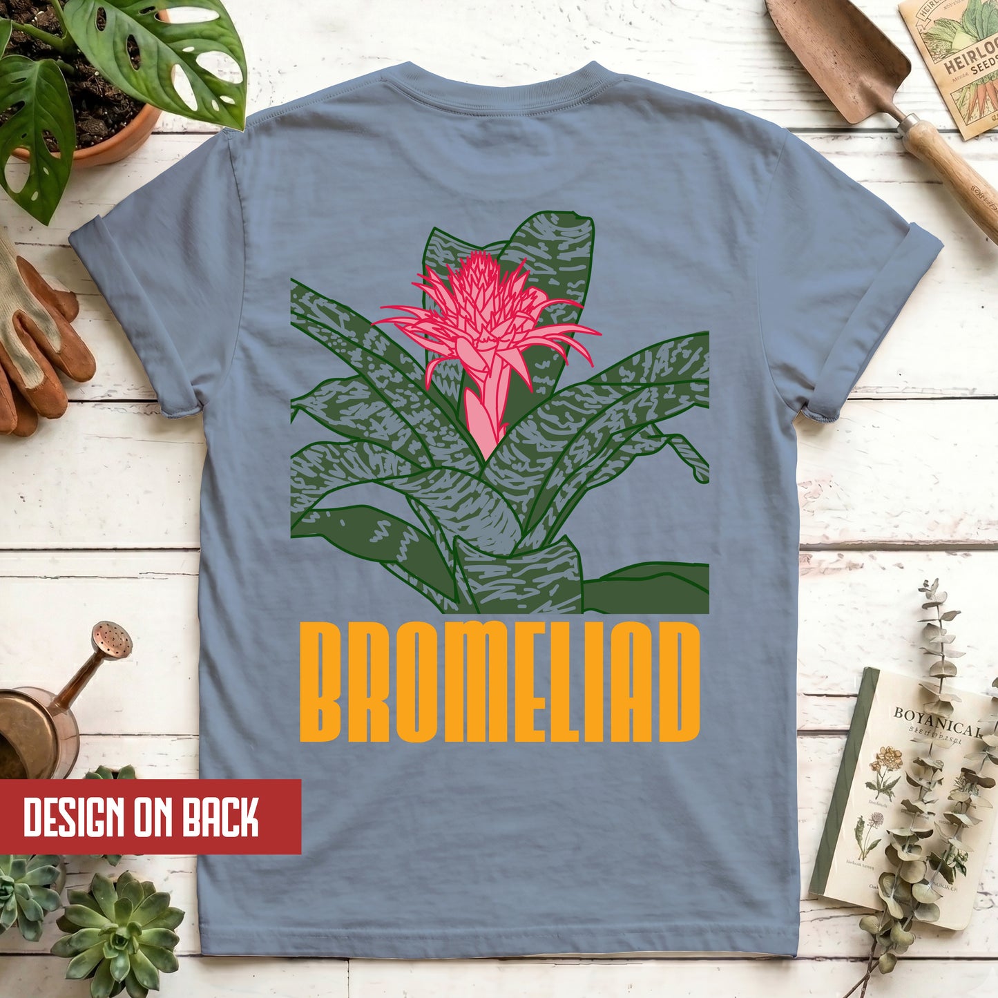 Bromeliad