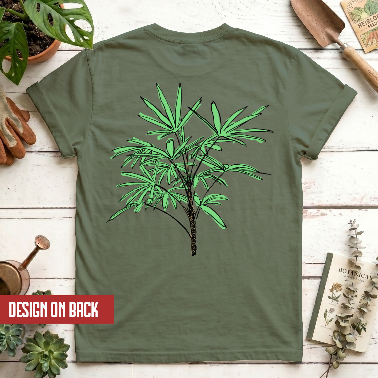 Lady Palm