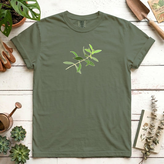 Olive branch