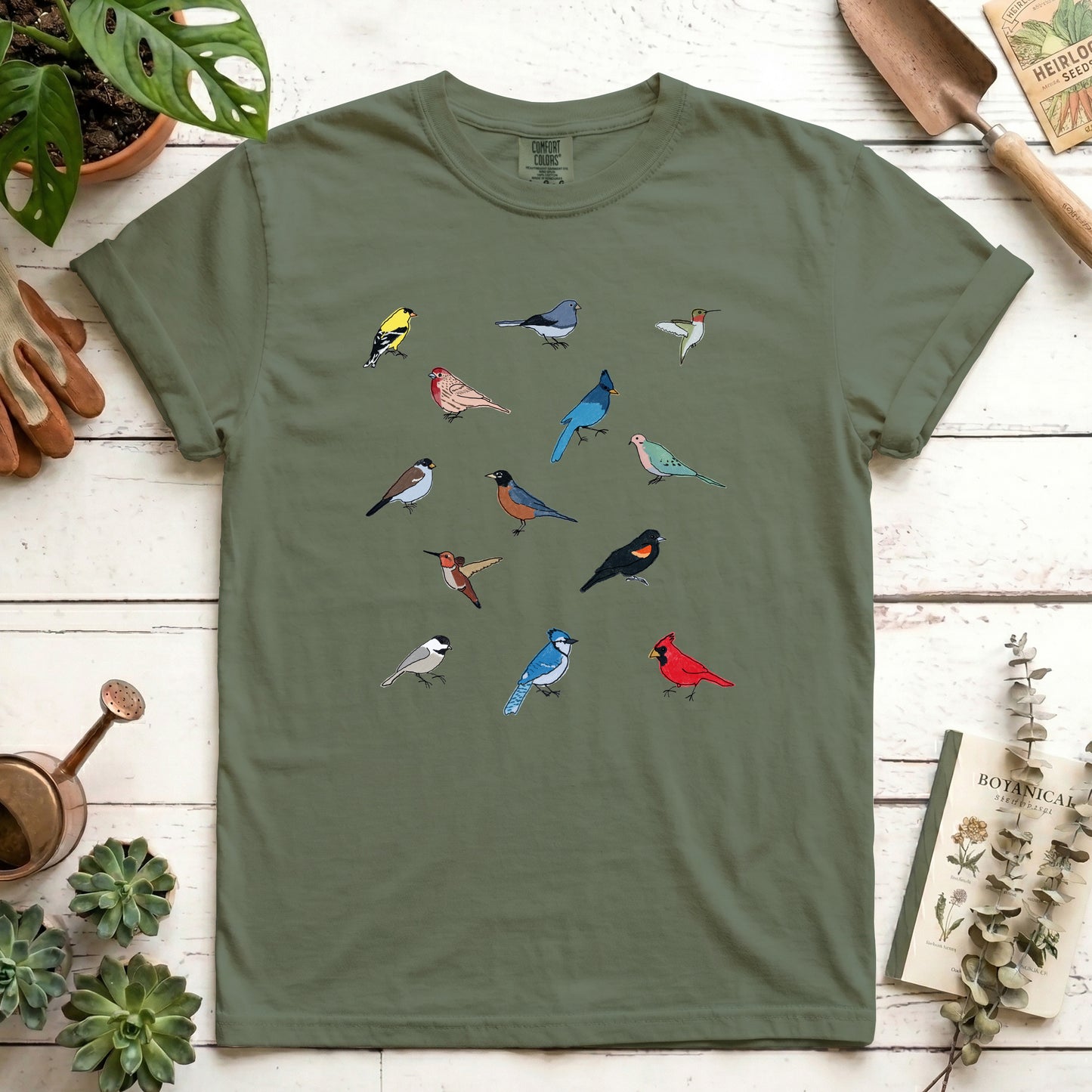 Birds
