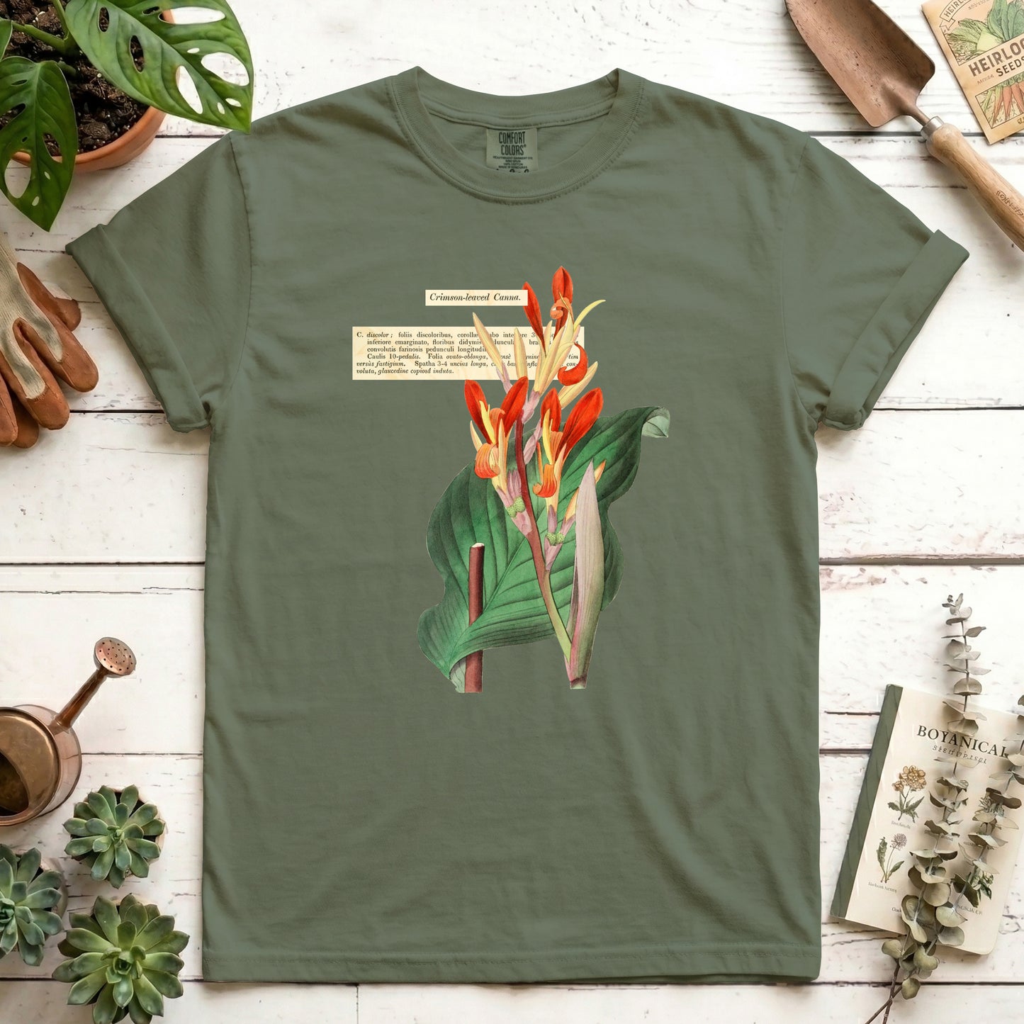 Crimson-leaved Canna