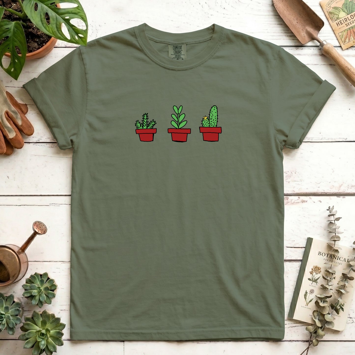 house plants